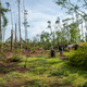 A volunteer rebuilding project on July 7th, 2019, in Youngstown, Florida, aimed at demonstrating that the workers are “Here To Build.”